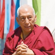 Rinpoche  (90) • <a style="font-size:0.8em;" href="http://www.flickr.com/photos/78058765@N05/14883223179/" target="_blank">View on Flickr</a>