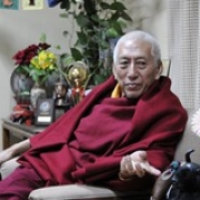 Rinpoche  (31) • <a style="font-size:0.8em;" href="http://www.flickr.com/photos/78058765@N05/15046937556/" target="_blank">View on Flickr</a>