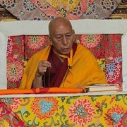Rinpoche  (38) • <a style="font-size:0.8em;" href="http://www.flickr.com/photos/78058765@N05/14883370677/" target="_blank">View on Flickr</a>