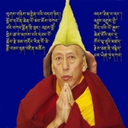 Rinpoche  (43) • <a style="font-size:0.8em;" href="http://www.flickr.com/photos/78058765@N05/15046927906/" target="_blank">View on Flickr</a>