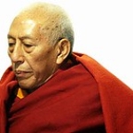 Prof Rinpoche23 • <a style="font-size:0.8em;" href="http://www.flickr.com/photos/78058765@N05/13995650900/" target="_blank">View on Flickr</a>